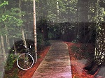 A boardwalk on Grand Island